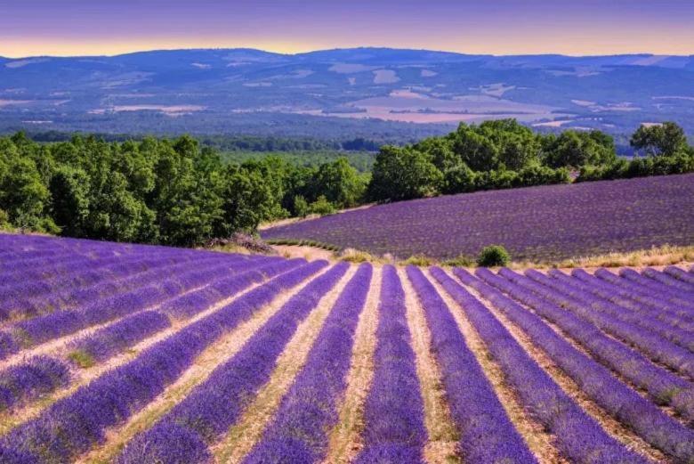 La Petite Maison Cereste Luaran gambar