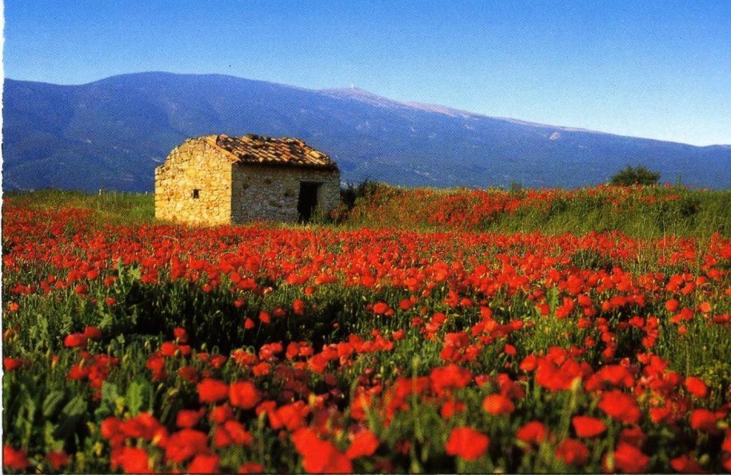 La Petite Maison Cereste Luaran gambar